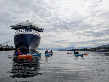 VARD SOCIAL kayak 2025 2