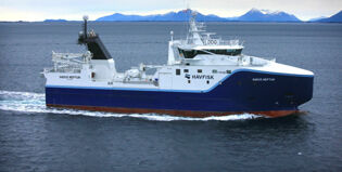 790 Gadus Neptun
