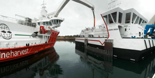 826 Henrik Ibsen Full Size Render new